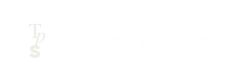 The Planner Strategy